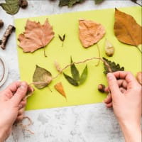 Herbst-Basteln: Blätter, Zapfen & Co. für Kinder