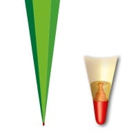 Roth XXL-Basteltüte grün, 100 cm, eckig, Rot(h)-Spitze, Tüllverschluss