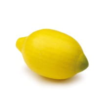 Erzi Zitrone - Kaufladenzubehör